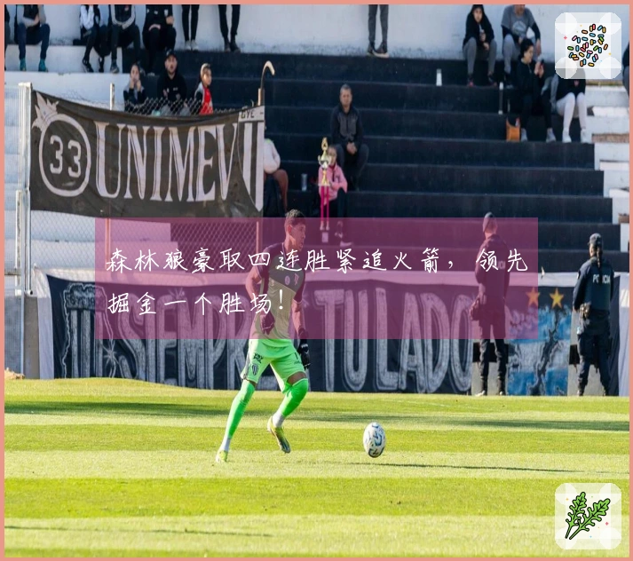 森林狼豪取四连胜紧追火箭，领先掘金一个胜场！